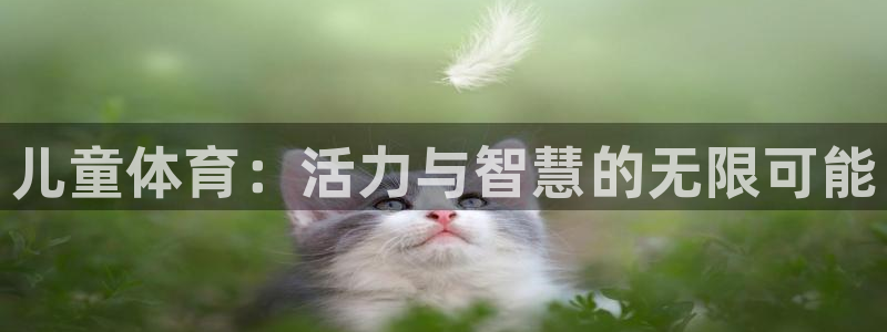 MK体育官方正版app娱乐代理怎么样：儿童体育：活力