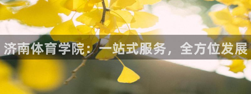 MK体育官方正版app神州：济南体育学院：一站式服务