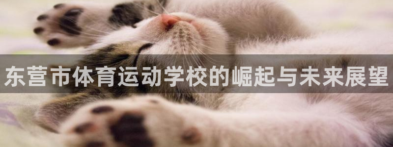MK体育官网下载官方客服电话：东营市体育运动学校的崛