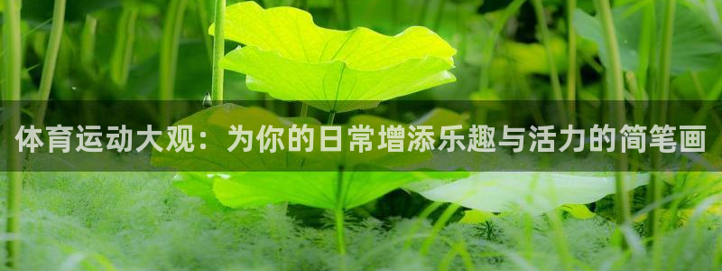 MK体育官方正版app娱乐平台：体育运动大观：为你的