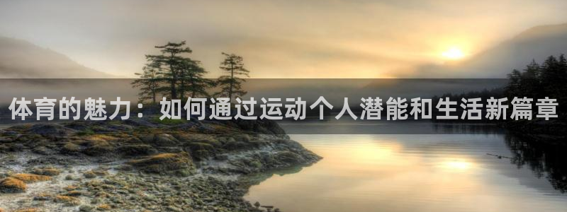 MK体育官网下载招商电话地址：体育的魅力：如何通过运