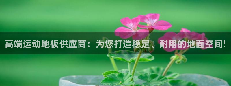MK体育官网下载招商电话是多少号码：高端运动地板供应