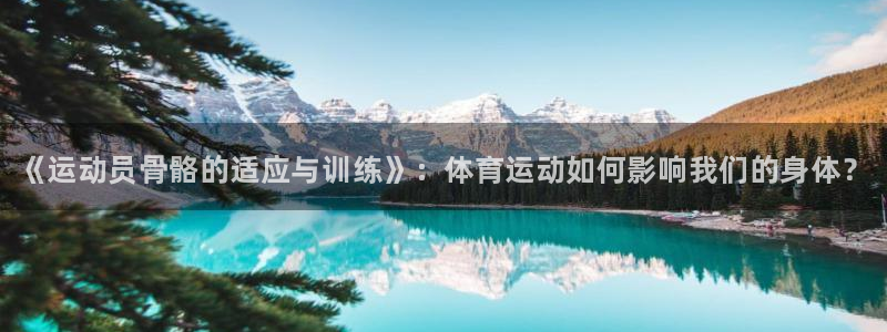 MK体育官方正版app娱乐首页网站大全：《运动员骨骼