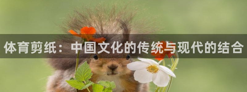 MK体育官网下载平台假的吗是真的吗：体育剪纸：中国文