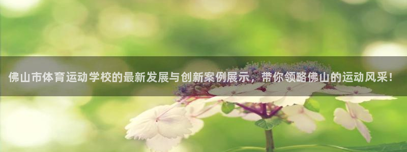 德国MK体育官方正版app集团：佛山市体育运动学校的