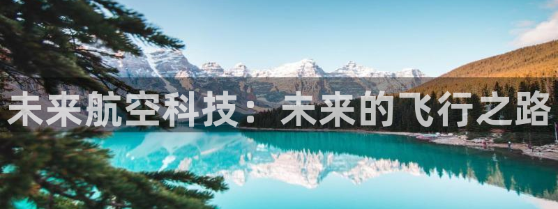 MK体育官网下载平台APP：未来航空科技：未来的飞行