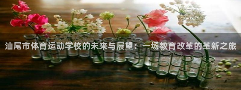 MK体育官网下载招商电话号码是多少号：汕尾市体育运动