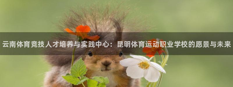 MK体育官网下载招商电话地址查询