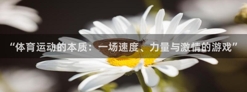 MK体育官方正版app集团：“体育运动的本质：一场速