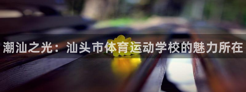 MK体育官方正版app娱乐：潮汕之光：汕头市体育运动