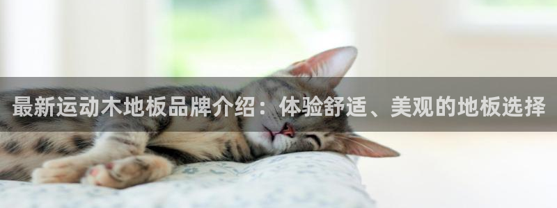MK体育官网下载招商电话号码是多少啊：最新运动木地板