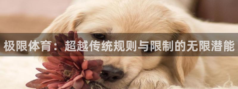 MK体育官网下载平台是正规平台吗：极限体育：超越传统规则与限