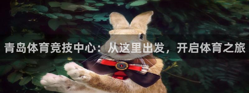 MK体育官方平台体育：青岛体育竞技中心：从这里出发，开启体育