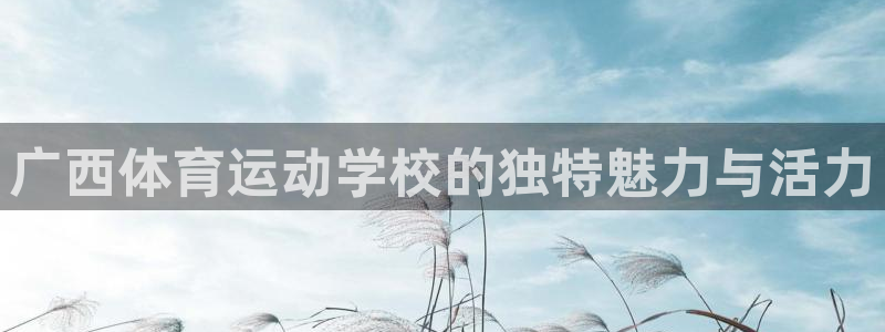 MK体育官方平台体育：广西体育运动学校的独特魅力与活