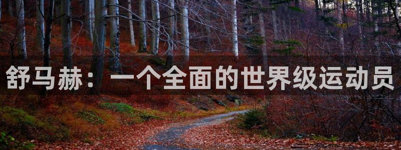 MK体育官方平台体育：舒马赫：一个全面的世界级运动员
