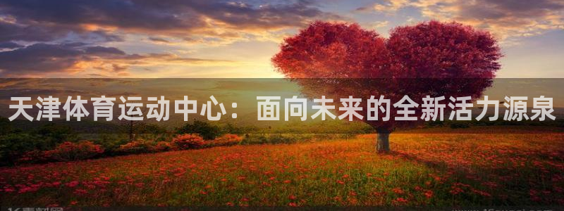 MK体育官方正版app娱乐平台：天津体育运动中心：面向未来的