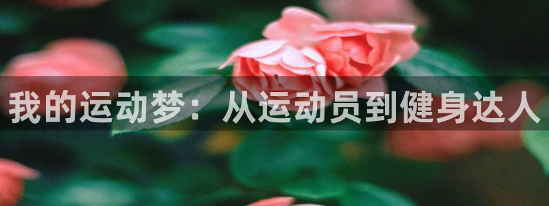 MK体育官方正版app五金厂：我的运动梦：从运动员到健身达人