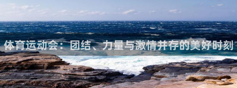 MK体育官网下载是干嘛的公司：体育运动会：团结、力量与激情并