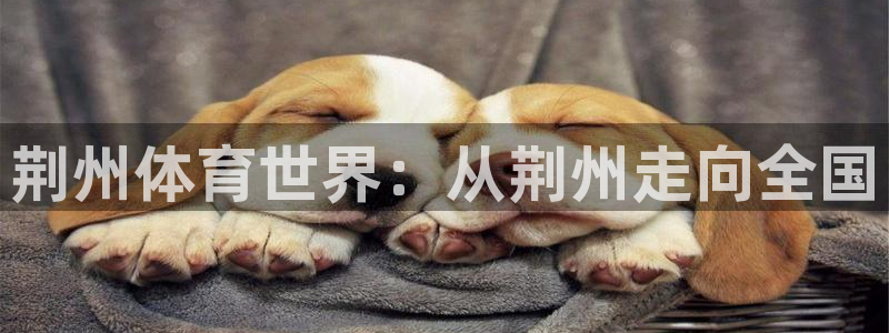 MK体育官方正版app集团：荆州体育世界：从荆州走向