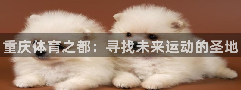 MK体育官方正版app官网：重庆体育之都：寻找未来运动的圣地