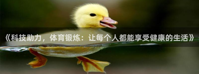 海南MK体育官网下载发展怎么样：《科技助力，体育锻炼：让每个