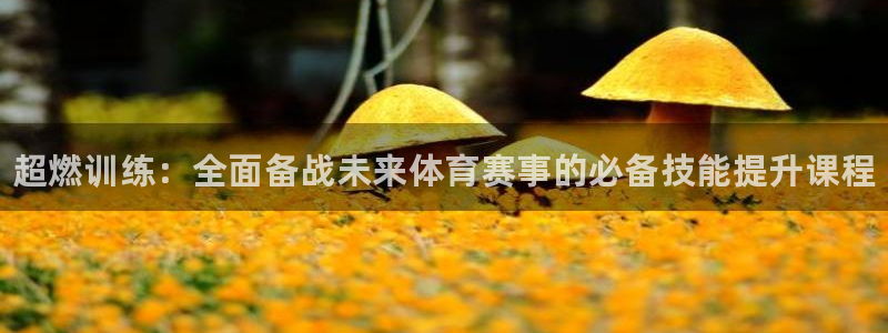 MK体育官网下载招商电话号码查询：超燃训练：全面备战