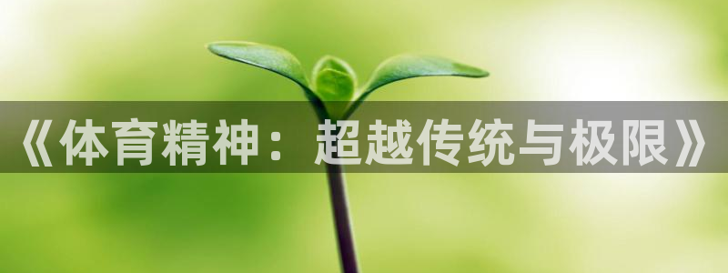 MK体育官网下载平台注册要钱吗：《体育精神：超越传统与极限》