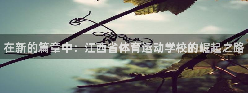 MK体育官方正版app娱乐平台：在新的篇章中：江西省体育运动