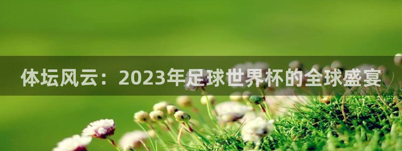 MK体育官方正版app集团官网首页：体坛风云：2023年足球