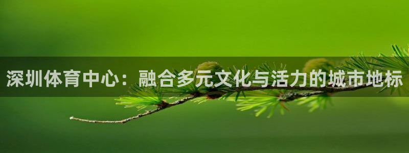 MK体育官方正版app集团E.ON：深圳体育中心：融